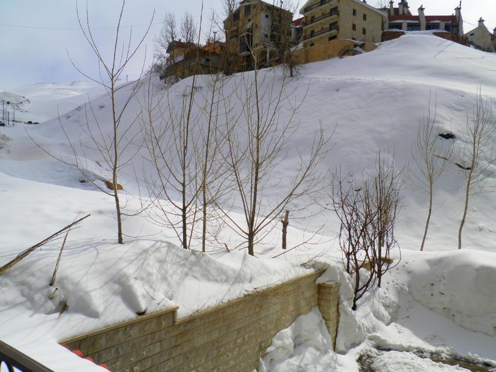 Stone Chalets Fārayyā Quarto foto
